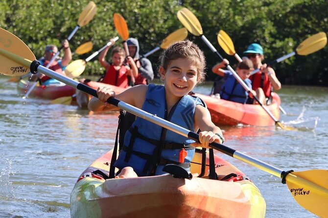 Mangrove Tunnels Kayak Tour (Photographer Included)- Marco Island - Key takeaways before you paddle