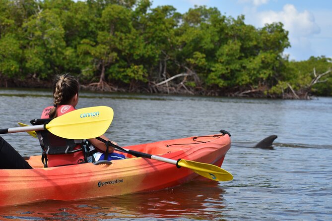 Mangrove Tunnels Kayak Tour (Photographer Included)- Marco Island - The mangrove tunnels near Marco Island: what it feels like