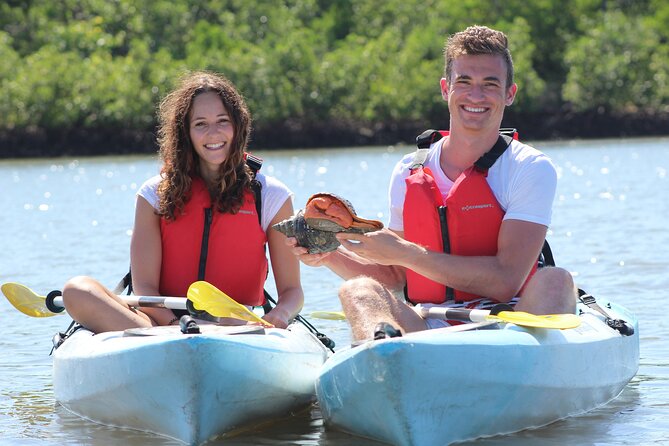 Mangrove Tunnels Kayak Tour (Photographer Included)- Marco Island - Wildlife chances: dolphins, birds, crabs, conch, and more