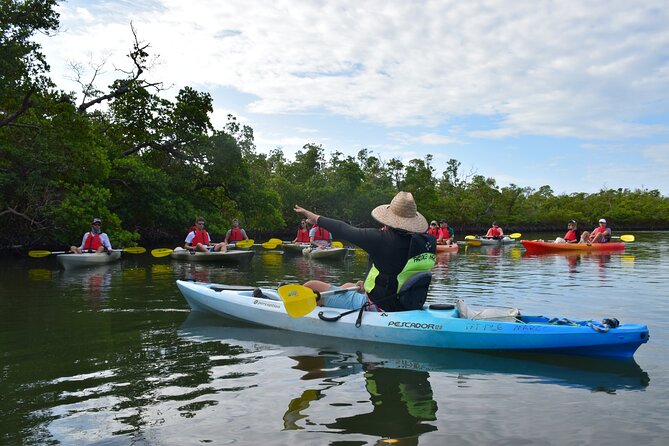 Mangrove Tunnels Kayak Tour (Photographer Included)- Marco Island - What to bring so you stay comfy (and still enjoy yourself)
