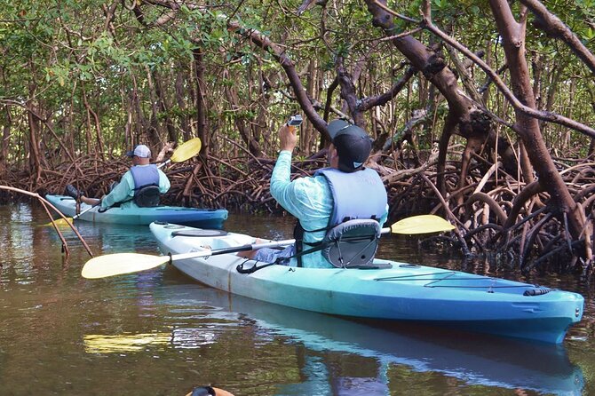 Mangrove Tunnels Kayak Tour (Photographer Included)- Marco Island - Chandler-style guiding: wildlife, history, and photo stops