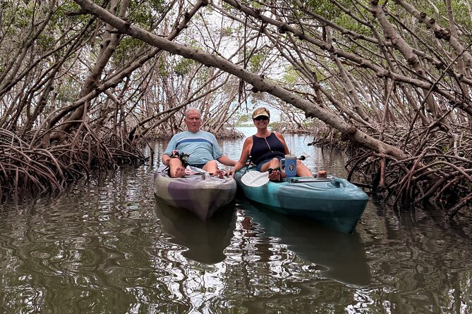 Mangrove Tunnels Kayak Tour To Shell Key - St. Pete - Wildlife You Might Spot in the Mangroves and Nearby Water
