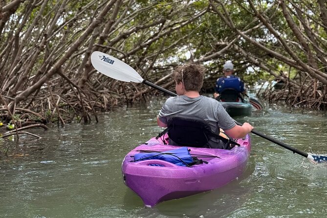Mangrove Tunnels Kayak Tour To Shell Key - St. Pete - Paddling Time, Pace, and Who This Tour Fits