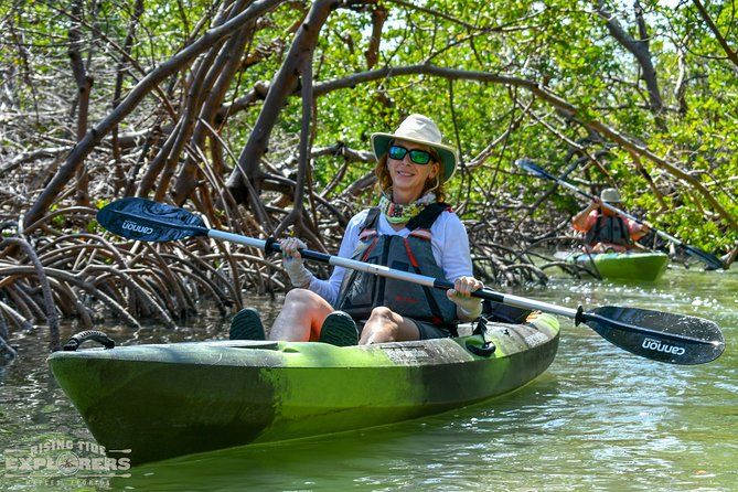 Mangrove Tunnels & Mudflats Kayak Tour - Local Biologist Guides - Rookery Bay Reserve: why the mangrove tunnels are the whole point