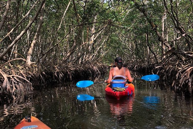 Mangrove Tunnels Pedal Kayak Eco-Tour in Anna Maria - Small group kayaking: safety, pace, and real learning