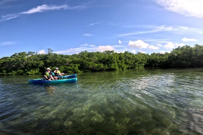 Mangrove Tunnels Pedal Kayak Eco-Tour in Anna Maria - A guide named Sky set the tone for service and care