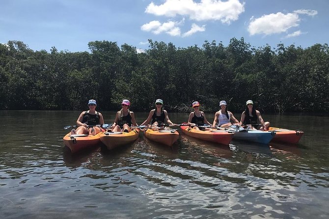 Mangrove Tunnels Pedal Kayak Eco-Tour in Anna Maria - Price and value: is $69 for 2 hours fair?