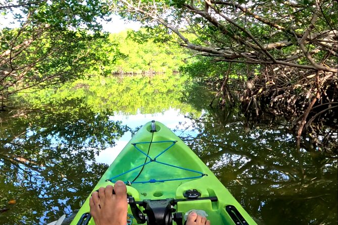 Mangrove Tunnels Pedal Kayak Eco-Tour in Anna Maria - Getting there and keeping the day easy