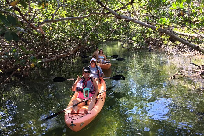 Mangroves and Manatees - Guided Kayak Eco Tour - Key Things to Know Before You Go