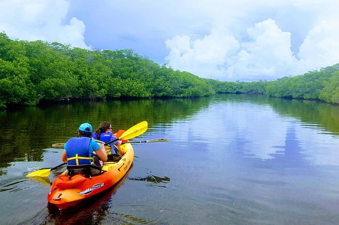 Mangroves and Manatees - Guided Kayak Eco Tour - Kayaking Tavernier Creek in the Upper Keys