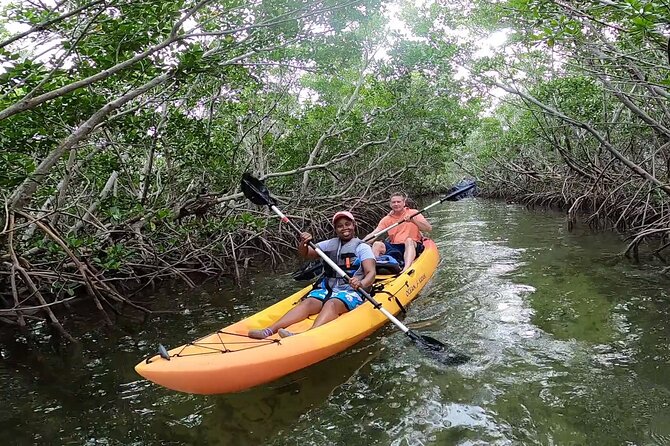 Mangroves and Manatees - Guided Kayak Eco Tour - Price and Value: Is $69 Worth It?