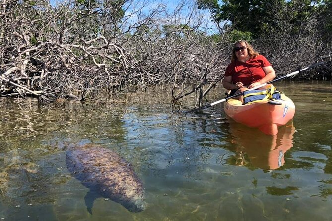 Mangroves and Manatees - Guided Kayak Eco Tour - Paddling Difficulty: Who This Is For (and Who Might Want Another Plan)