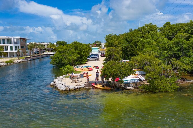 Mangroves and Manatees - Guided Kayak Eco Tour - Should You Book This Guided Mangroves and Manatees Kayak Tour?