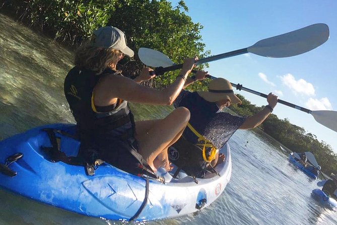 Mangroves Kayak Tour - Key Things You’ll Notice Right Away
