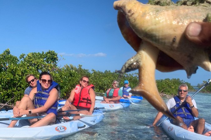 Mangroves Kayak Tour - Flavors of the Turks and Caicos: What the Ecosystem Lessons Add
