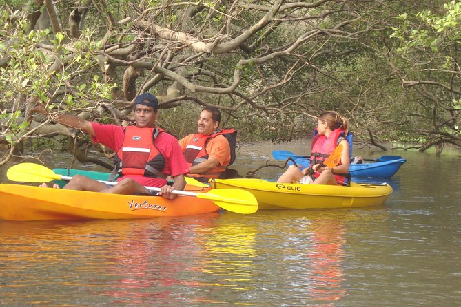 Mangroves Magic Goa Kayaking Experience - Key things I’d plan around