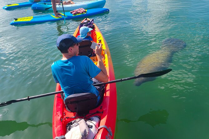 Mangroves, Manatees, and a Hidden Beach: Kayak Tour - Key things I’d zero in on before you book
