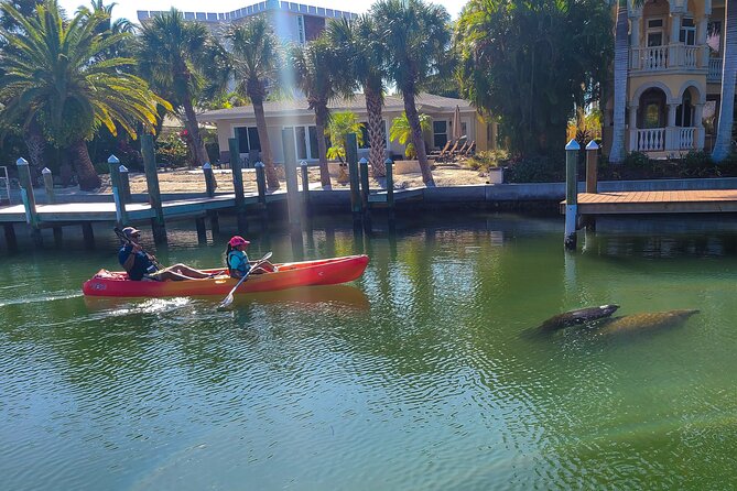 Mangroves, Manatees, and a Hidden Beach: Kayak Tour - Price and value: why $59 can make sense here