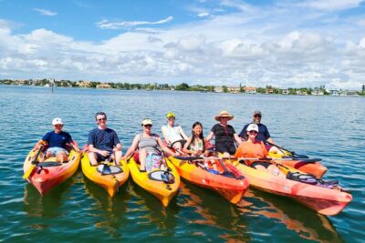 Mangroves, Manatees, and a Hidden Beach: Kayak Tour - Wildlife viewing in mangroves: dolphins, manatees, and the birds above