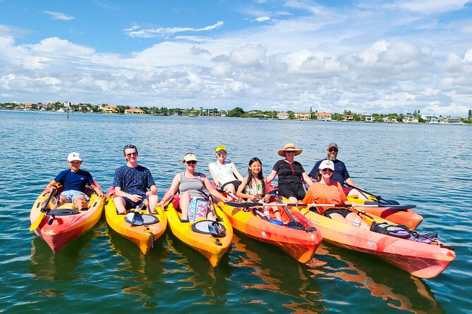 Mangroves, Manatees, and a Hidden Beach: Kayak Tour - Wildlife viewing in mangroves: dolphins, manatees, and the birds above