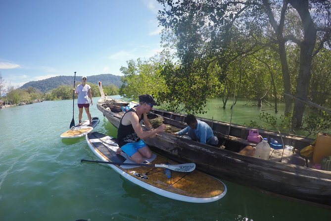 Mangroves SUP Tour Phuket - SUP basics on calm water: mangroves, slow pace, and room to relax