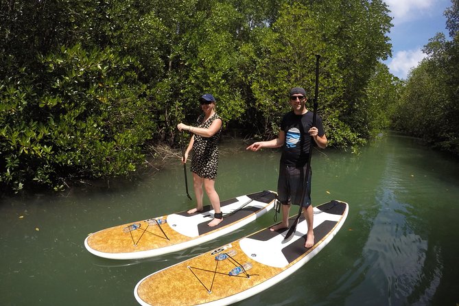 Mangroves SUP Tour Phuket - The safety reality: why swimming ability is non-negotiable here