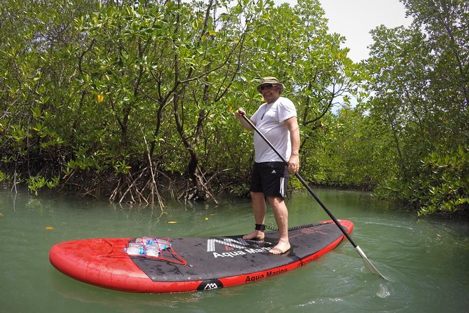 Mangroves SUP Tour Phuket - Who this Mangroves SUP tour in Phuket suits best