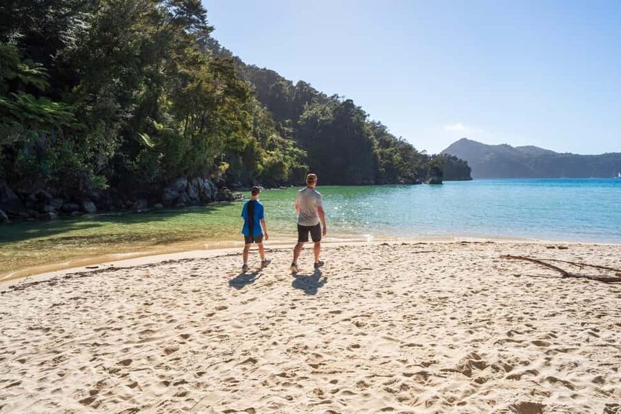 Marahau: Abel Tasman Kayaks Kayak and Walk - Lunch at Observation Beach: The Break That Keeps the Day Fun