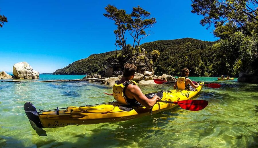 Marahau: Abel Tasman Kayaks Kayak and Walk - Price and Value: Is $135 a Good Deal for This One-Day Plan?