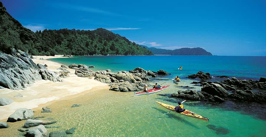 Mārahau: Abel Tasman Marine Reserve Kayak Tour - Kekeno moments: how to spot seals without messing with their day