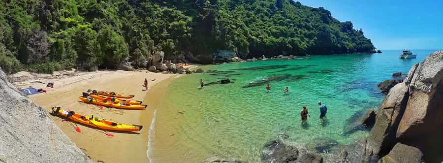 Mārahau: Abel Tasman Marine Reserve Kayak Tour - Best for whom (and who should skip it)