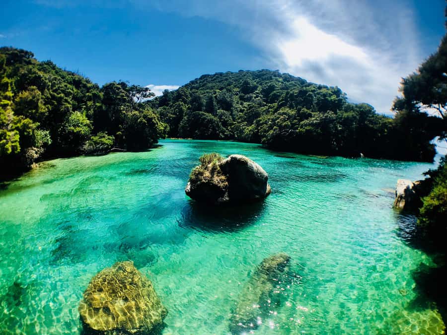 Mārahau: Abel Tasman Marine Reserve Kayak Tour - Two routes, same promise: Shag Harbour to Tonga Arches or Tonga Island to Anchorage