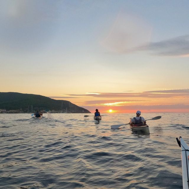 Marciana Marina: Evening Sea Kayaking Tour with Swim Stop - Key things to know before you go
