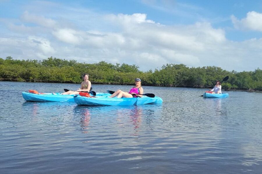 Marco Island: Guided Manatee-Watching Kayaking or SUP Tour - What to Bring (And What You’ll Be Glad You Did)