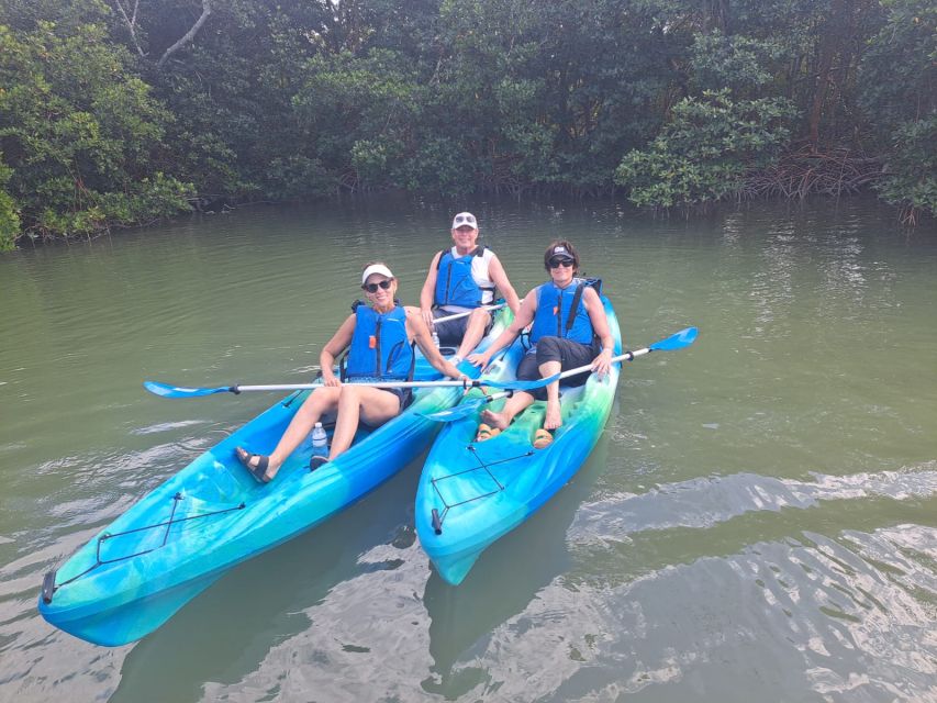 Marco Island: Kayak Mangrove Ecotour in Rookery Bay Reserve - Rookery Bay Mangroves: Why This Kayak Tour Feels Different