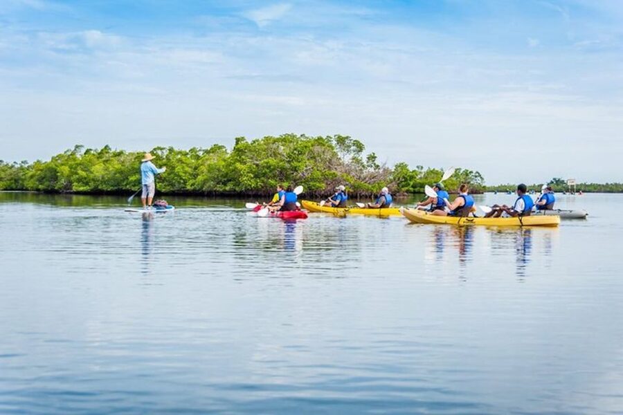 Marco Island: Kayak Mangrove Ecotour in Rookery Bay Reserve - Who This Tour Fits Best (and Who Might Skip It)