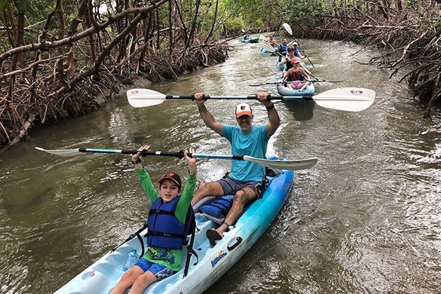 Marco Island: Kayak Mangrove Ecotour in Rookery Bay Reserve - Price and Value: What $85 Buys You (and What It Doesn’t)