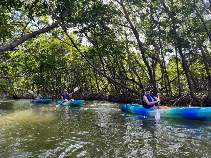 Marco Island: Kayak Mangrove Ecotour in Rookery Bay Reserve - The Mangrove Maze and Tunnels: Close-Up Nature at Root Level