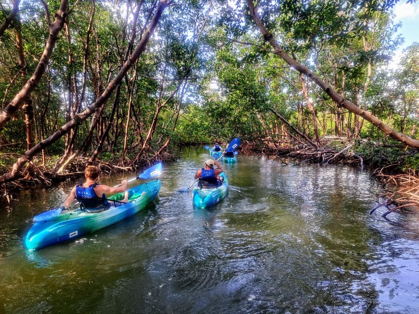 Marco Island: Kayak Mangrove Ecotour in Rookery Bay Reserve - Oyster Reefs, Mudflats, and Hidden Bays: The Estuary’s Working Parts