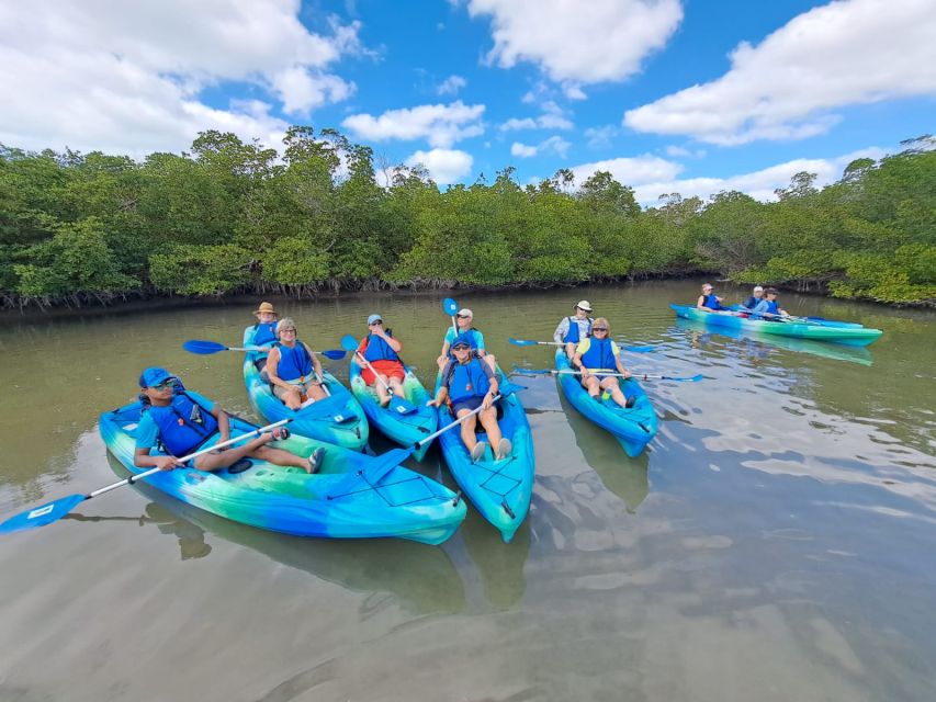 Marco Island: Kayak Mangrove Ecotour in Rookery Bay Reserve - How Long It Takes, and Why Two Hours Works