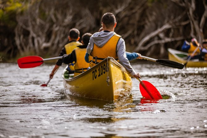 Margaret River Canoe Tour Including Australian Wild Food Lunch - Key highlights worth knowing before you go