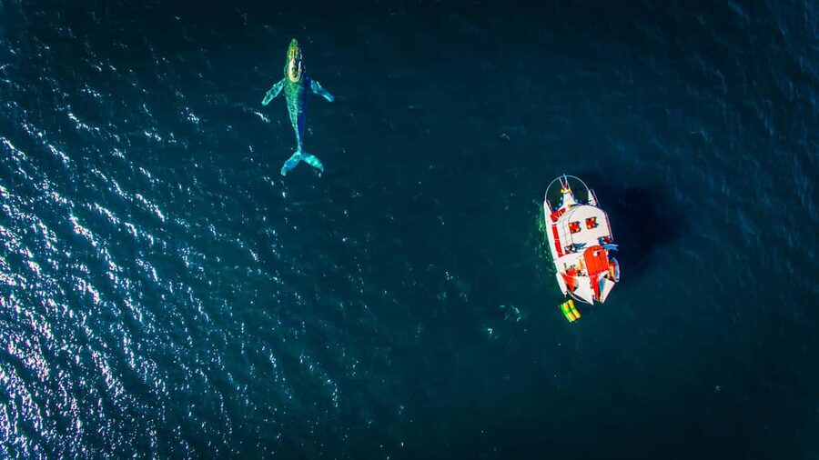 Marietas Islands Boat Tour: Snorkel, Kayak, Playa Nopalera - Bahía de Banderas cruise: breakfast, snacks, and marine life chances