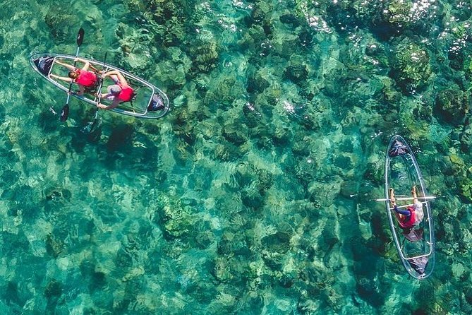 Maui Clear Kayak and Snorkel Tour: Swim with turtles (Makena) - Key things to know before you go