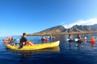 Maui Clear Kayak and Snorkel Tour: Swim with turtles (Olowalu) - Morning timing: what the 7:30 am start buys you