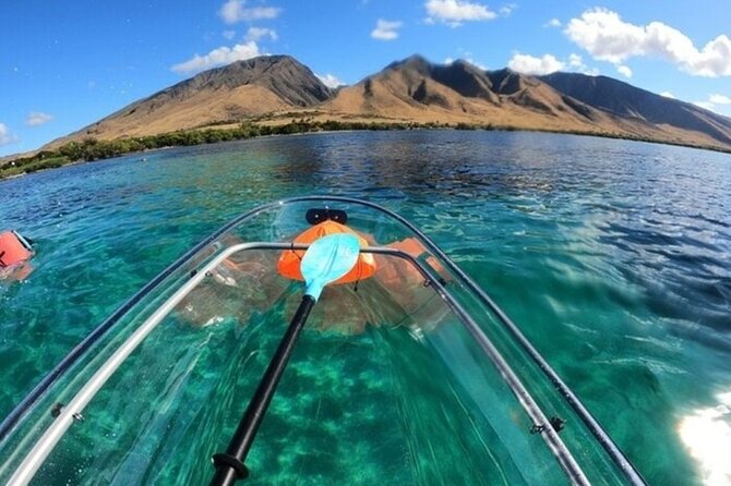 Maui Clear Kayak and Snorkel Tour: Swim with turtles (Olowalu) - Guide-led spotting: why Curtis and Kyle matter here