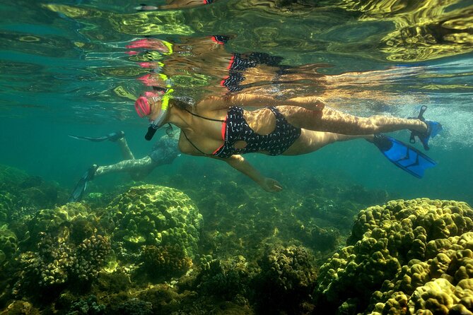 Maui South Shore Premier Kayak and Snorkel Tour from Makena Beach - Makena Bay at 7:00 am: quiet water and big Maui views
