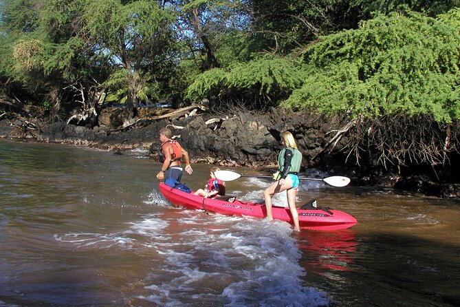 Maui South Shore Premier Kayak and Snorkel Tour from Makena Beach - Snorkel stops around turtles and reef fish (with winter whale odds)