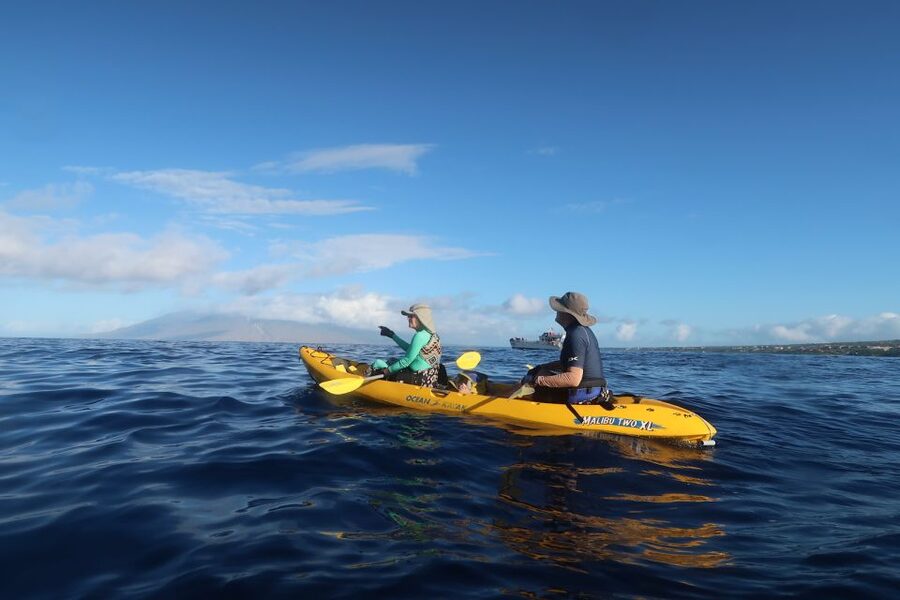 Maui: Turtle Town Kayak and Snorkel Tour - Paddle Out to Turtle Town: How the Kayak Portion Feels