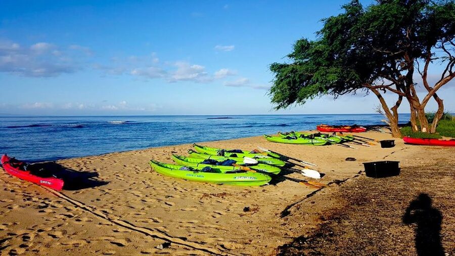 Maui: West Side Discovery Kayak & Snorkel from UKUMEHAME - Key things you’ll notice right away