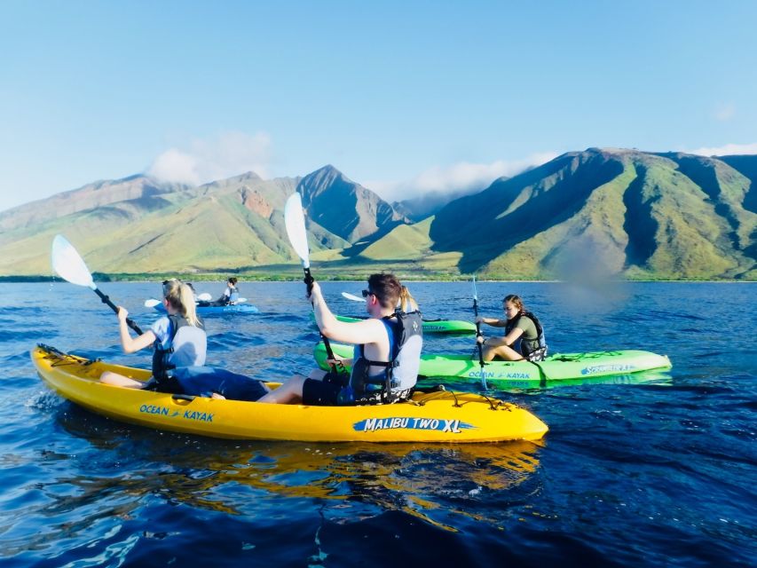 Maui: West Side Discovery Kayak & Snorkel from UKUMEHAME - How the guide changes the plan when wind shows up